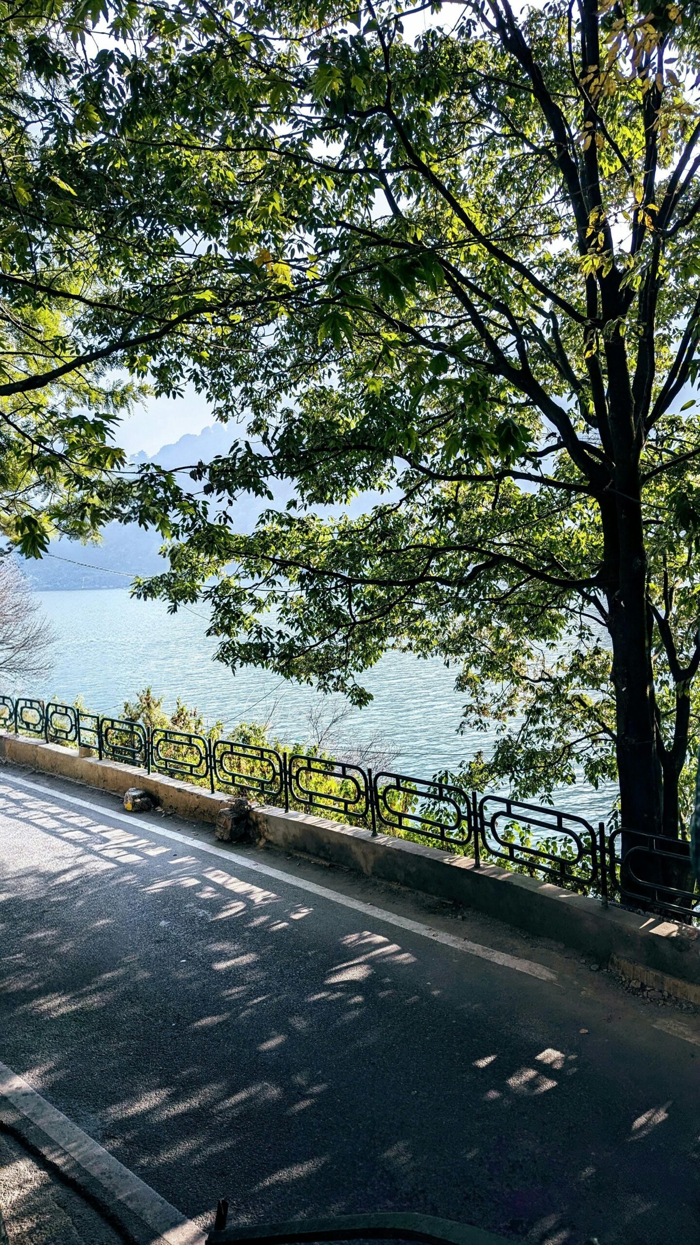 NAINITAL